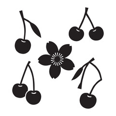 Cherry Blossom Silhouette Clipart Set Cherry Flower Black Silhouette Vector White Background.