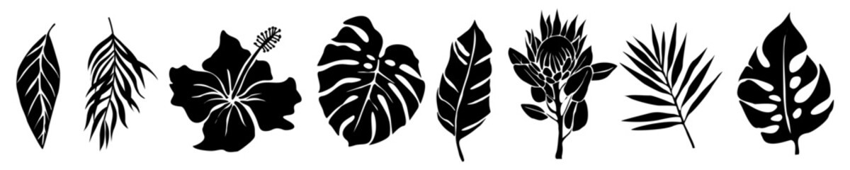 Set of black silhouettes of tropical leaves, flowers. Hand drawn elegant exotic palm, monstera leaves, protea, hibiscus flowers. Trendy botanical vector illustrations isolated, transparent background