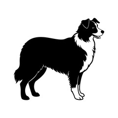 australian-shepherd-vector-silhouette illustration
