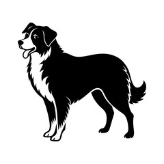 australian-shepherd-vector-silhouette illustration