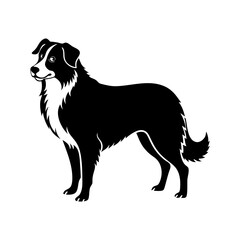 australian-shepherd-vector-silhouette illustration