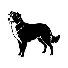australian-shepherd-vector-silhouette illustration
