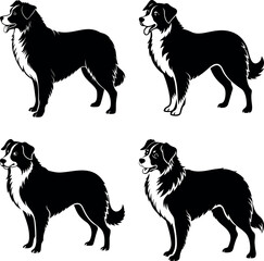 australian-shepherd-vector-silhouette illustration