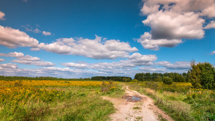 Summer landscape with a country road.
