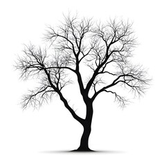 Silhouette of a leafless deciduous tree with sprawling branches and a thick trunk standing alone against a plain white background in a minimalistic style
