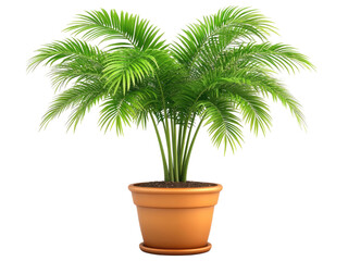Obraz premium Lush Green Potted Palm Tree in a Terracotta Pot, Indoor Tropical Plant, Home Decor