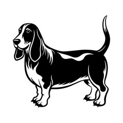 basset-hound-vector-silhouette illustration