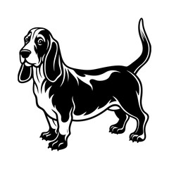 basset-hound-vector-silhouette illustration