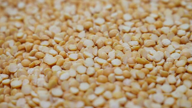 Closeup Yellow toor dal , toor dhal or dal footage. Indian food