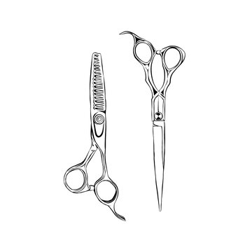 various kinds of hair cutting scissors drawn by hand