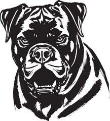 Rottweiler, rottie Peeking Dog,black vector silhouette illustration on white background