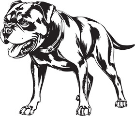 Rottweiler, rottie Peeking Dog,black vector silhouette illustration on white background