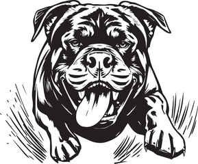 Rottweiler, rottie Peeking Dog,black vector silhouette illustration on white background