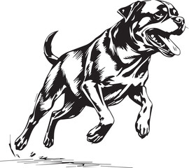 Rottweiler, rottie Peeking Dog,black vector silhouette illustration on white background