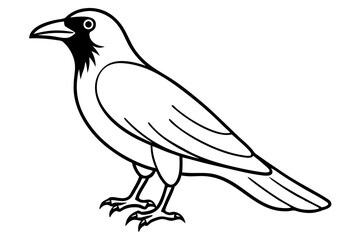 crow on a white background