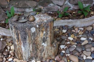 Nature's serenity a tranquil stone arrangement in a garden outdoor still life peaceful setting