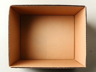 Fototapeta premium Open Empty Cardboard Box Showing Texture and Design in Natural Light