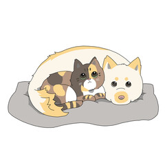 猫と犬