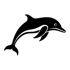 dolphin isolated on white background