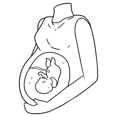 pregnant illustration hand drawn outline vector