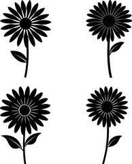 daisy-vector-silhouette illustration