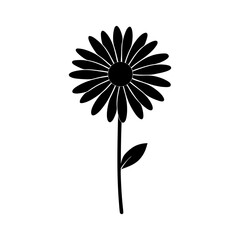 daisy-vector-silhouette illustration