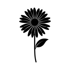 daisy-vector-silhouette illustration
