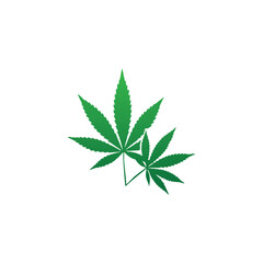 cannabis leaf on white background