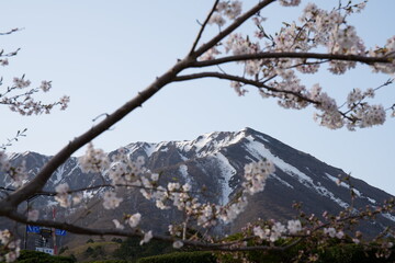 雪が残る鳥取県の春の伯耆大山と北壁