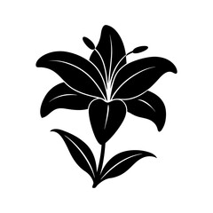 Easter-lily-vector-silhouette illustration