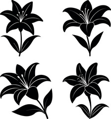 Easter-lily-vector-silhouette illustration