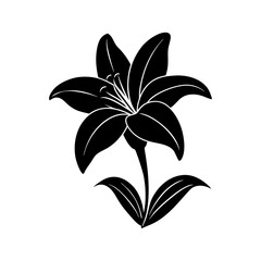 Easter-lily-vector-silhouette illustration