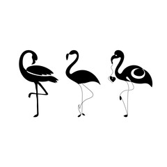 flamingo bird vector set .Flamingo Vector Images. Flamingo silhouette set vector design, bird illustration and icon
