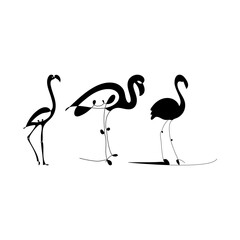 flamingo bird vector set .Flamingo Vector Images. Flamingo silhouette set vector design, bird illustration and icon