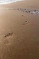 Footprints in the sand beach photography coastal close-up tranquility