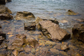 Serene rocky shoreline coastal area nature photography tranquil environment close-up perspective natural beauty unveiled