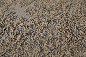 Grains of sand close-up coastal region nature photography textured surface macro perspective serenity and detail
