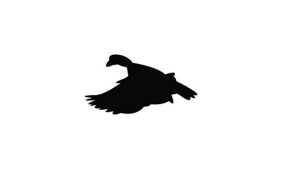 Flying African pygmy goose bird Silhouette Design  And Vector Illustration. 
