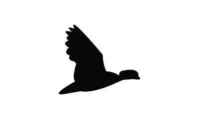 Flying African pygmy goose bird Silhouette Design  And Vector Illustration. 