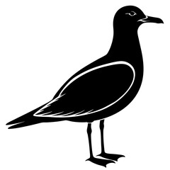vector illustration of a duck of silhouette