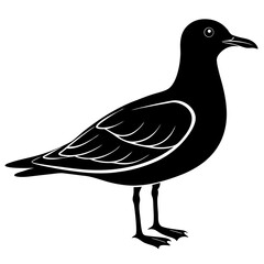 vector illustration of a duck of silhouette