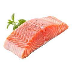 raw salmon fillet