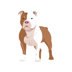 Obraz premium Vector illustration of a friendly Red Nose Pitbull dog in white and caramel colors, cartoon style, perfect for design projects, mascots, t-shirts, prints, and branding.