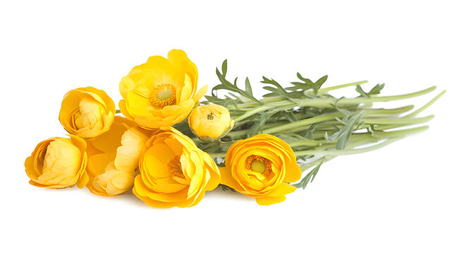 A row of yellow flowers with green stems - Powered by Adobe