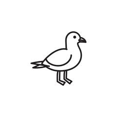 vector illustration of a pigeon