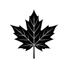 Maple Leaf Silhouette  vector illustration
