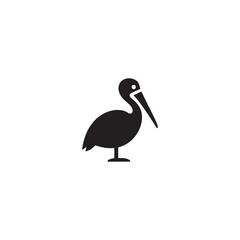 vector illustration of a white pelican