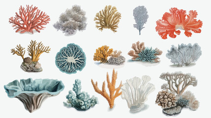 A digital illustration shows sixteen coral specimens set against a clean white background. The corals come in a variety of shapes, sizes, and colors.