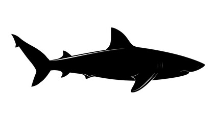 Obraz premium Shark silhouette with a clean, transparent background