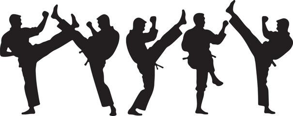 Obraz premium Flying Kick silhouette